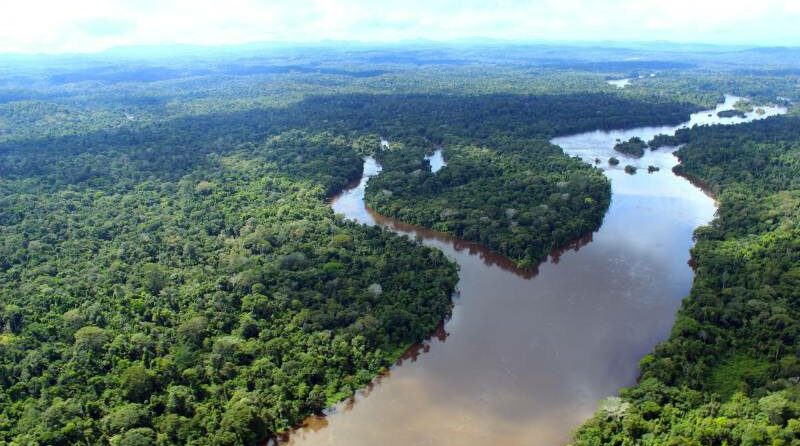 ativistas, latinos, emergencias, amazonia