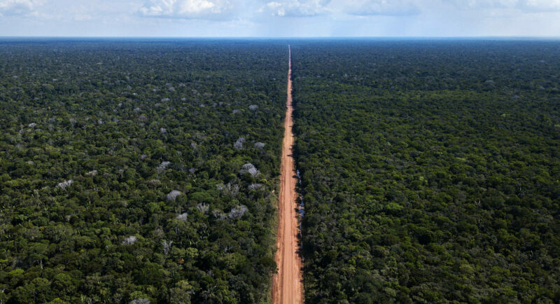ministro, br-319, referencia, ambiental