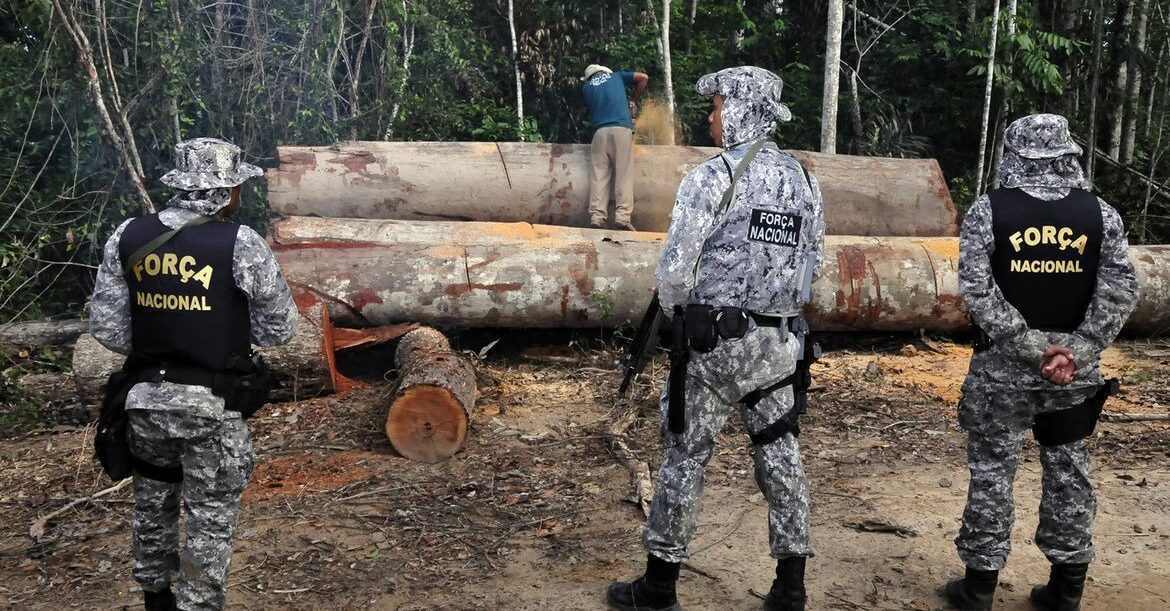 forca, nacional, crimes, ambientais, amazonia