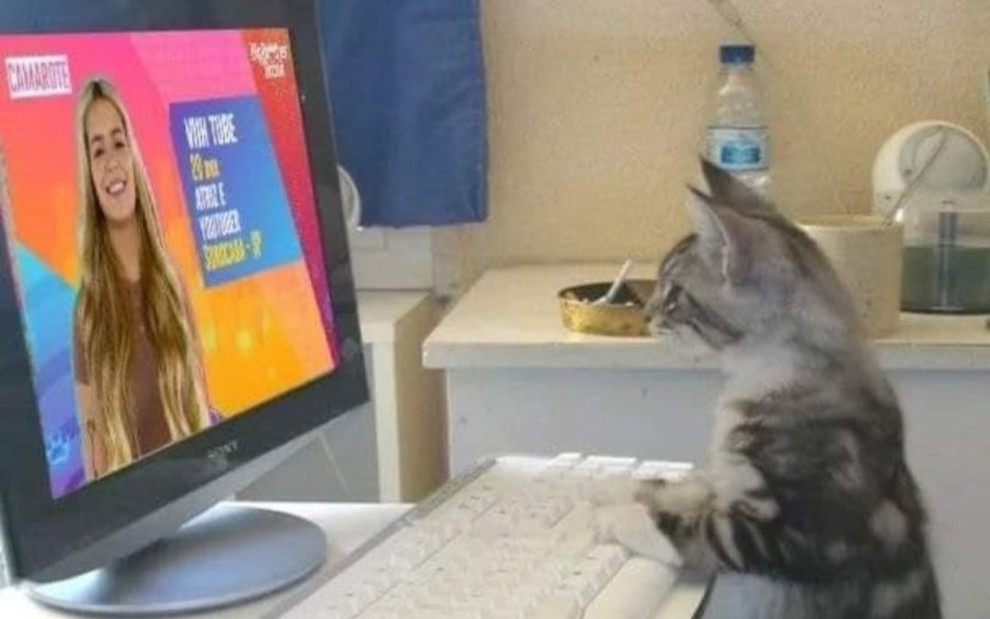 Viih Tube e o gato