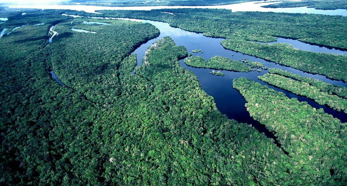 caixa, milhoes, preservacao, amazonia