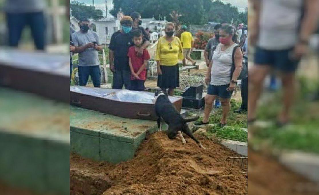 "Fiel", de joelhos, despede-se do dono à beira da cova, no cemitério