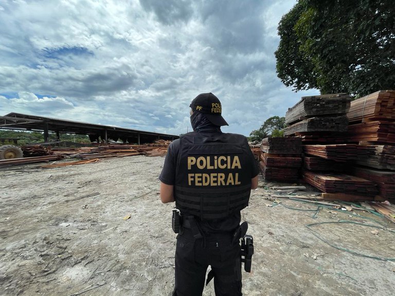Operação da PF fecha serrarias em Maués por crimes ambientais