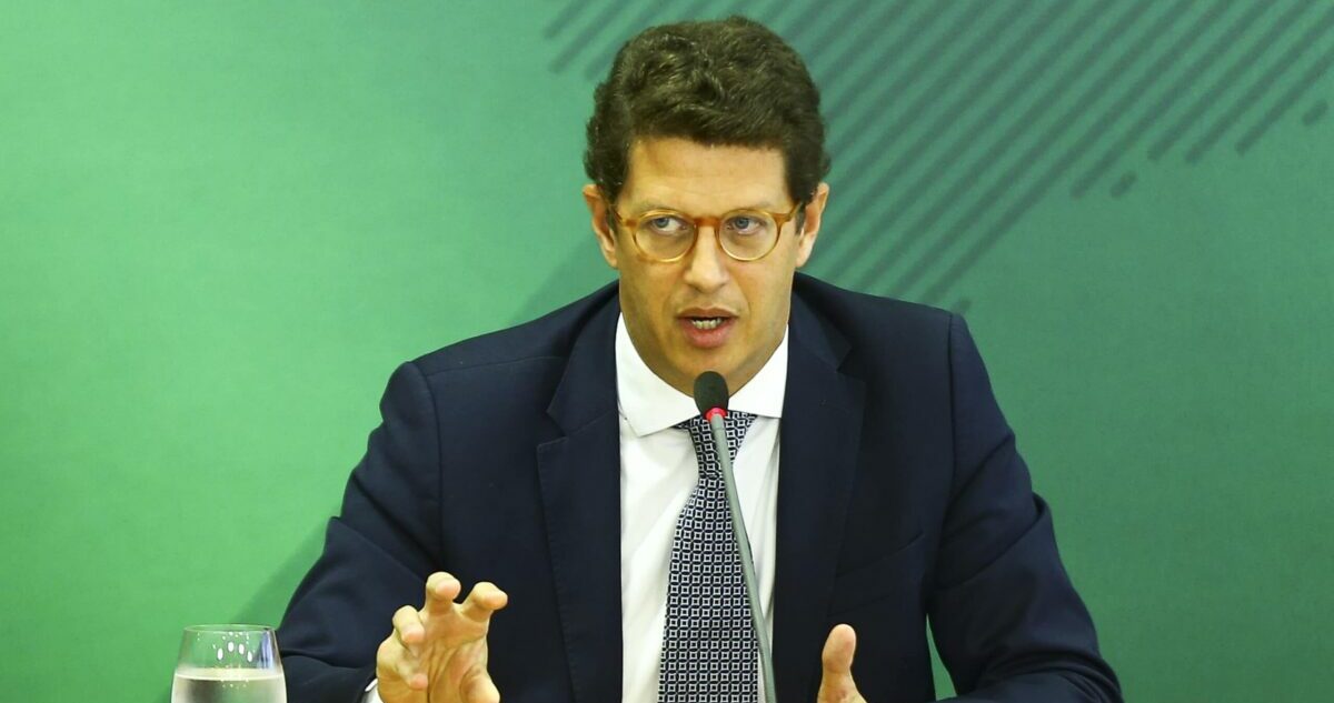 deputados, saida, salles, plinio