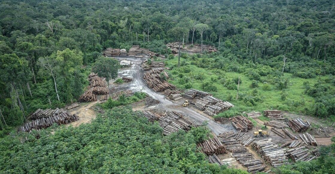 Desmatamento na Amazônia Legal bate recorde em três meses seguidos