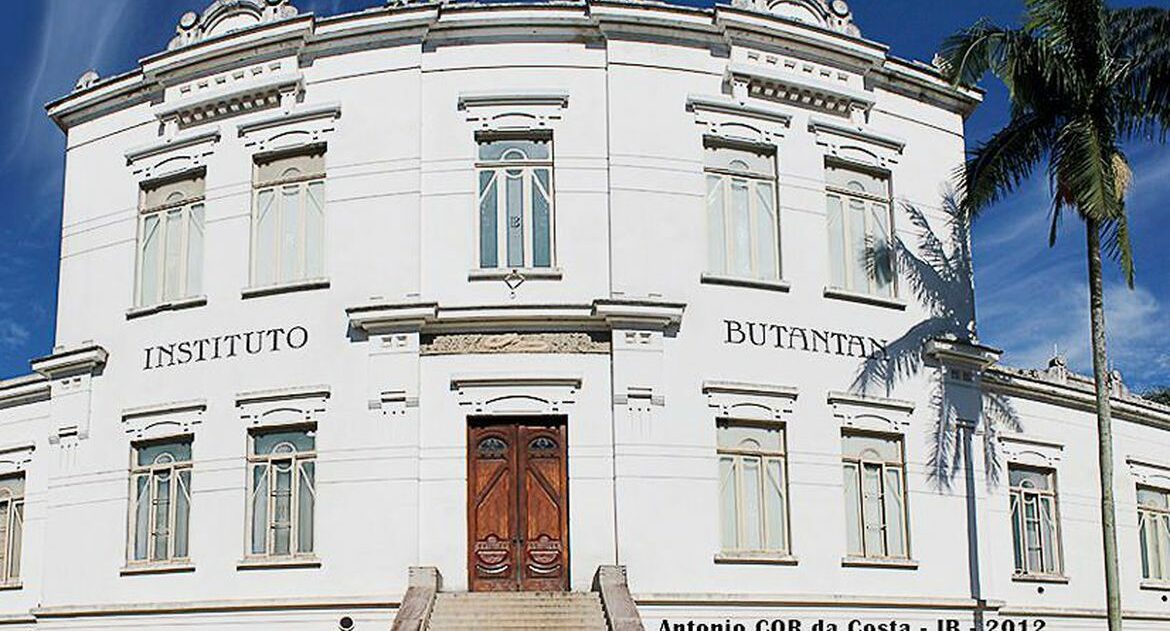butantan, anvisa, coronavac, menores