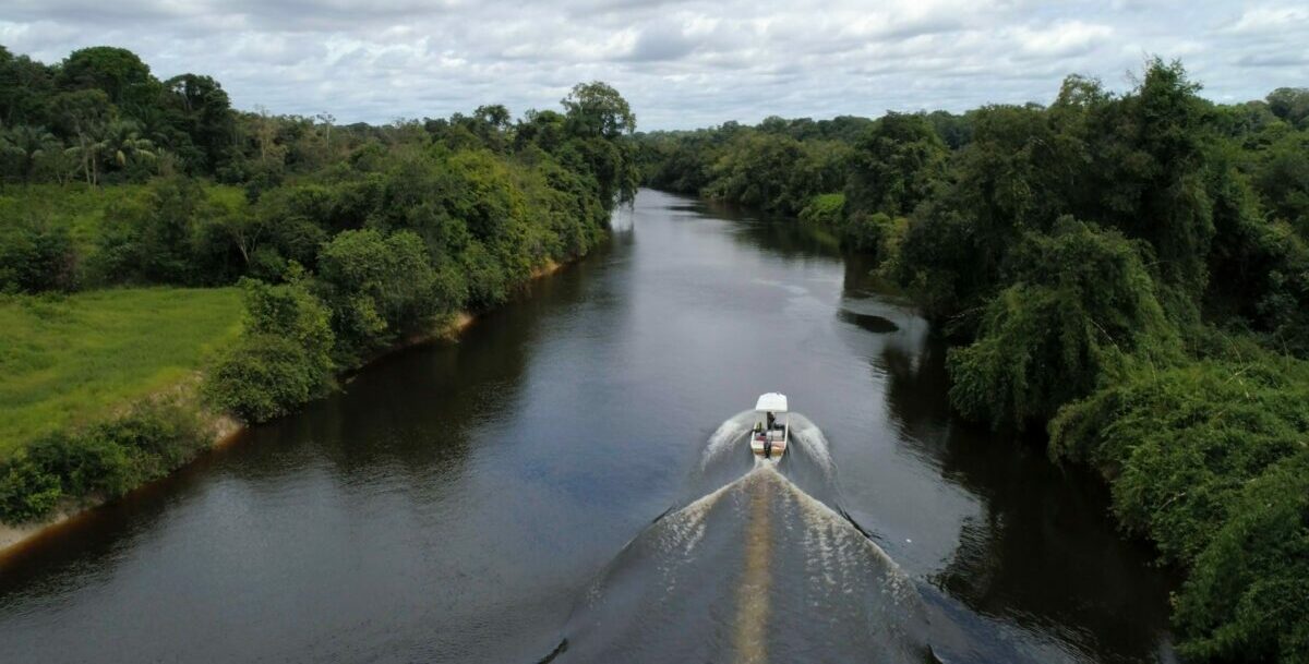 tcu, controle, desmatamento, amazonia