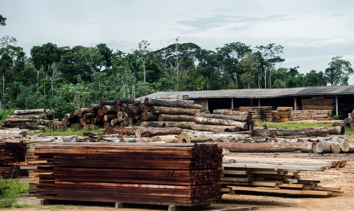 Multas por crimes ambientais na Amazônia despencam 93%, diz estudo