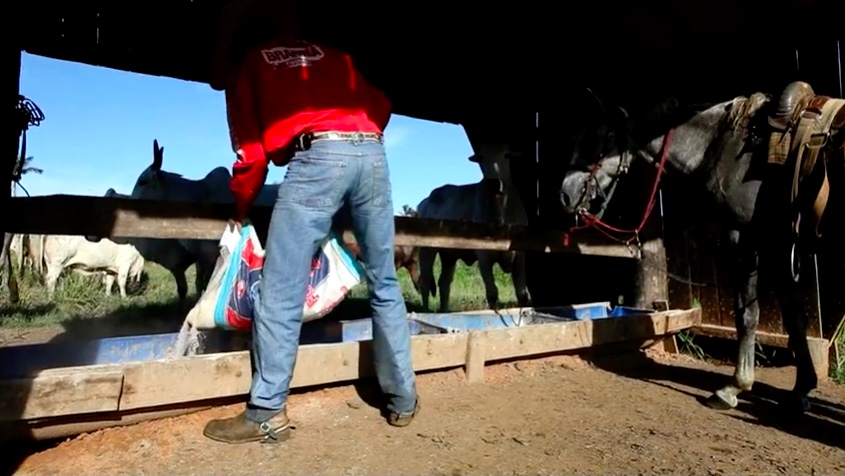 Agricultores