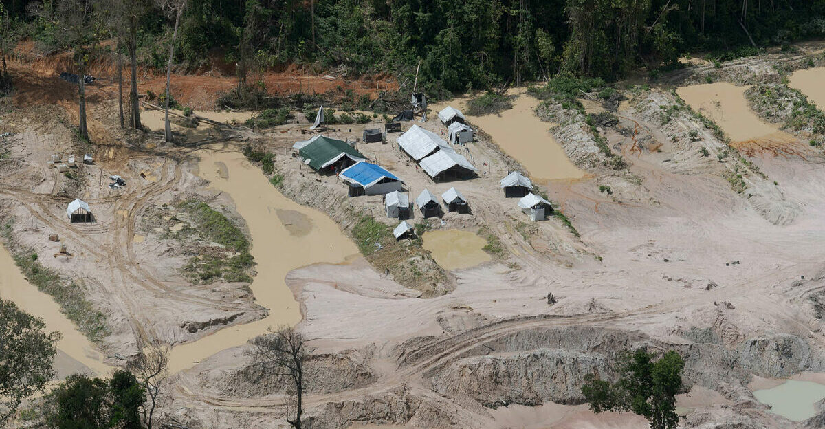 amazonia, garimpos, brasil, pesquisador
