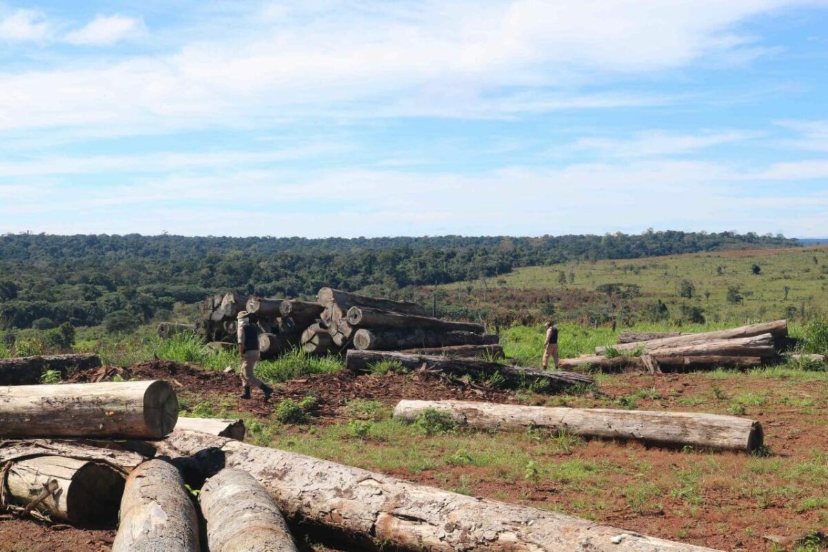 Operação embarga 5,7 mil hectares e aplica R$ 31 milhões em multas no AM