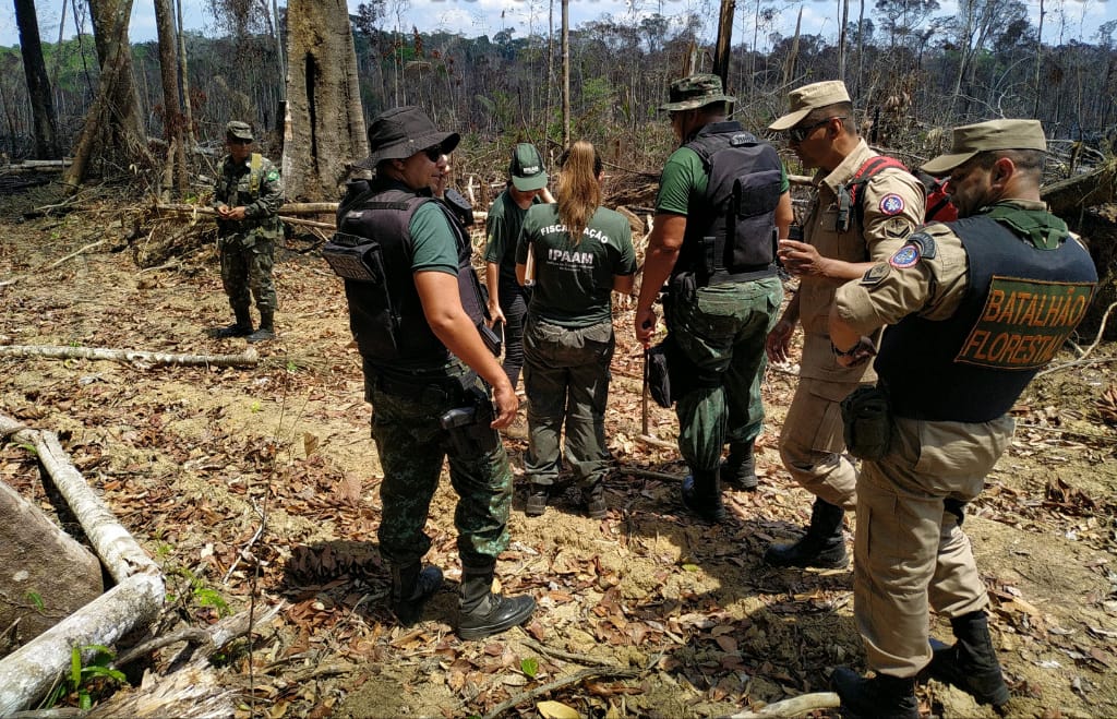Aumento de queimadas no sul do Amazonas é reflexo de desmatamento