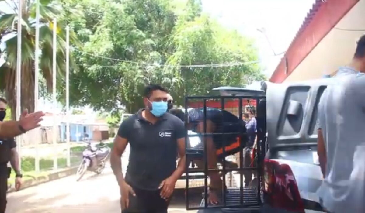 Presa em Parintins quadrilha que desviou R$ 1 milhão do TJ-AM