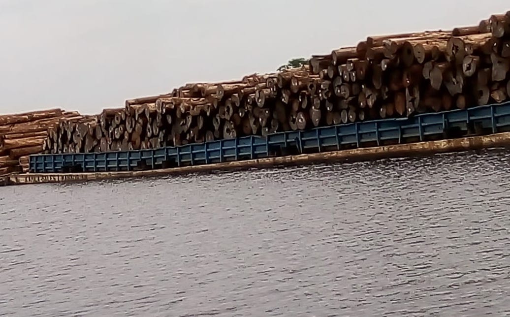 Balsa transporta madeira no interior da Amazônia