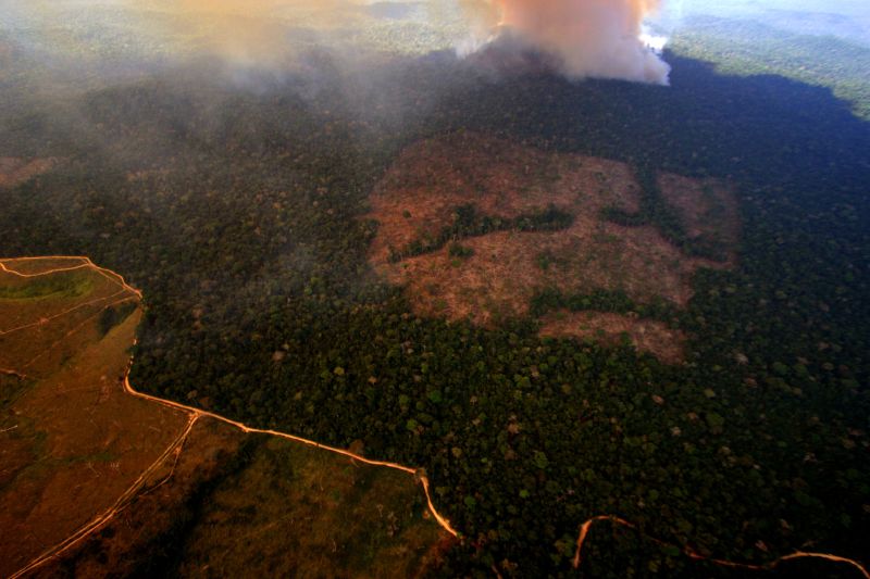 Amazônia está 75% incapaz de se recuperar, dizem pesquisadores