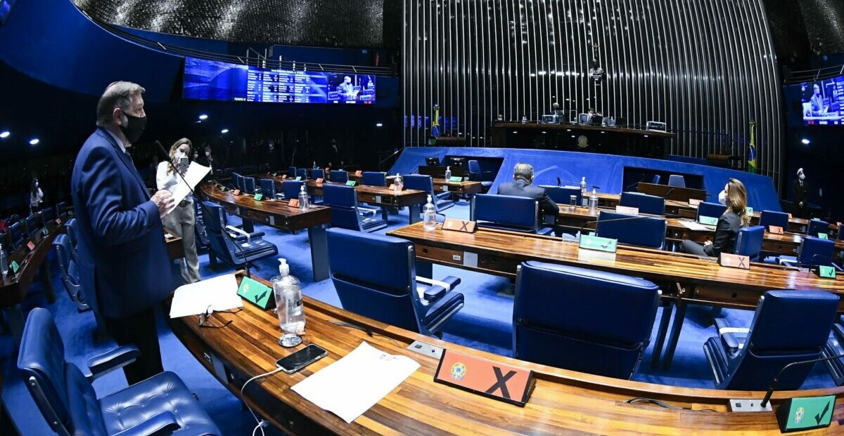 senado, renda basica, constituicao