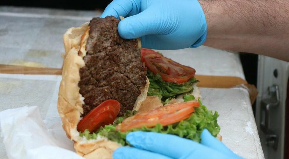 carne, cavalo, hamburguer, sanduiches