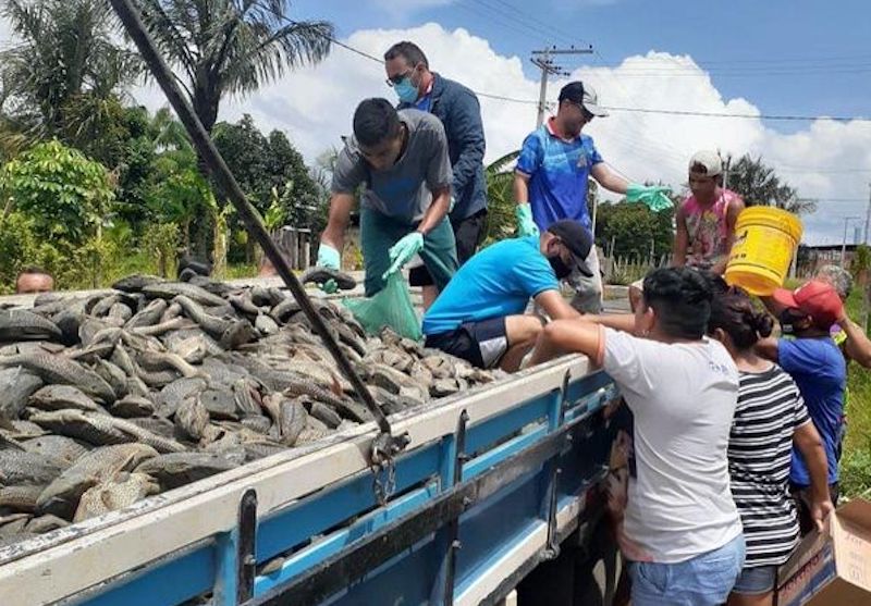 Prefeitura de Parintins faz distribuição de bodó na periferia