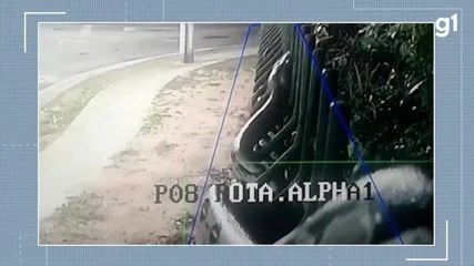 Em Manaus, cobra grande desfila na calçada de condomínio