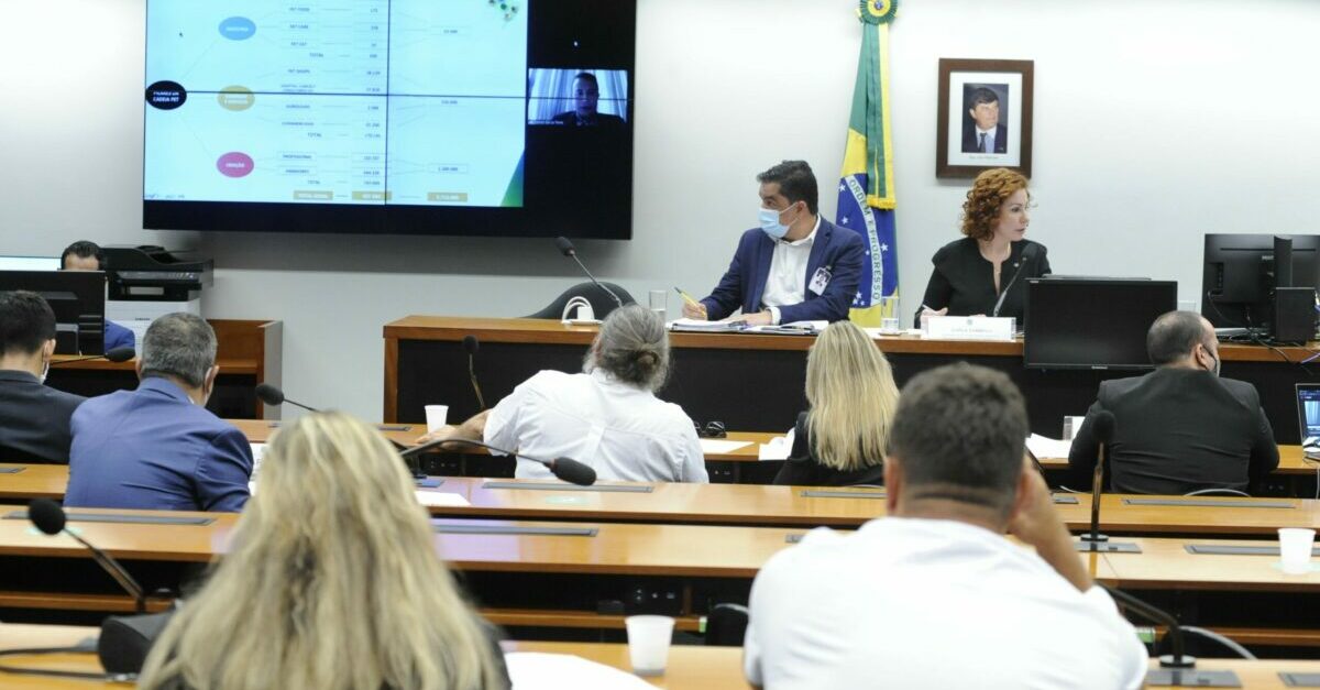comissao, concessao, milhoes, florestas