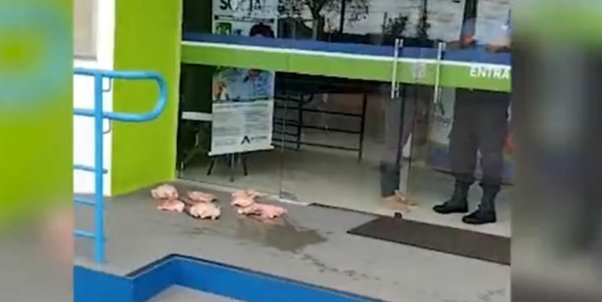 Frangos podres jogados na AM Energia é protesto de comerciante