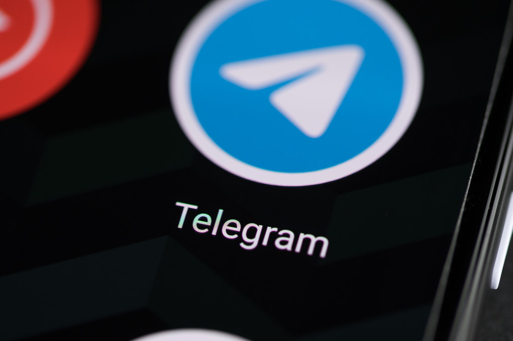 Telegram viraliza filme negacionista e fake news sobre Amazรดnia