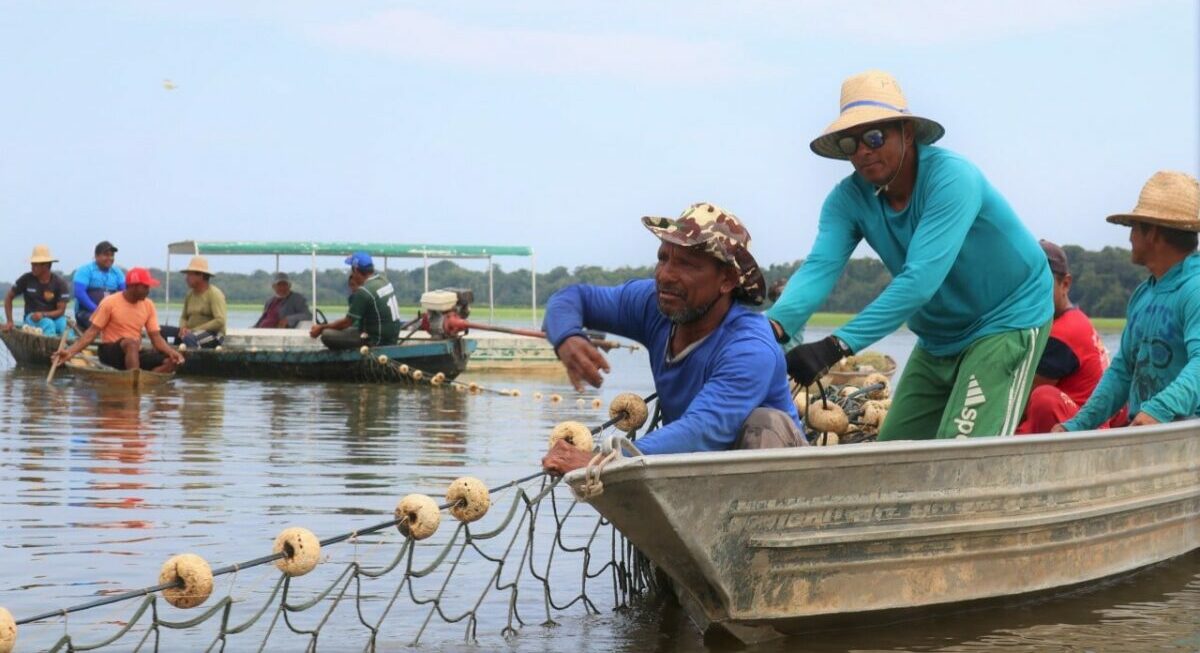 caixa, credito, pescadores, artesanais