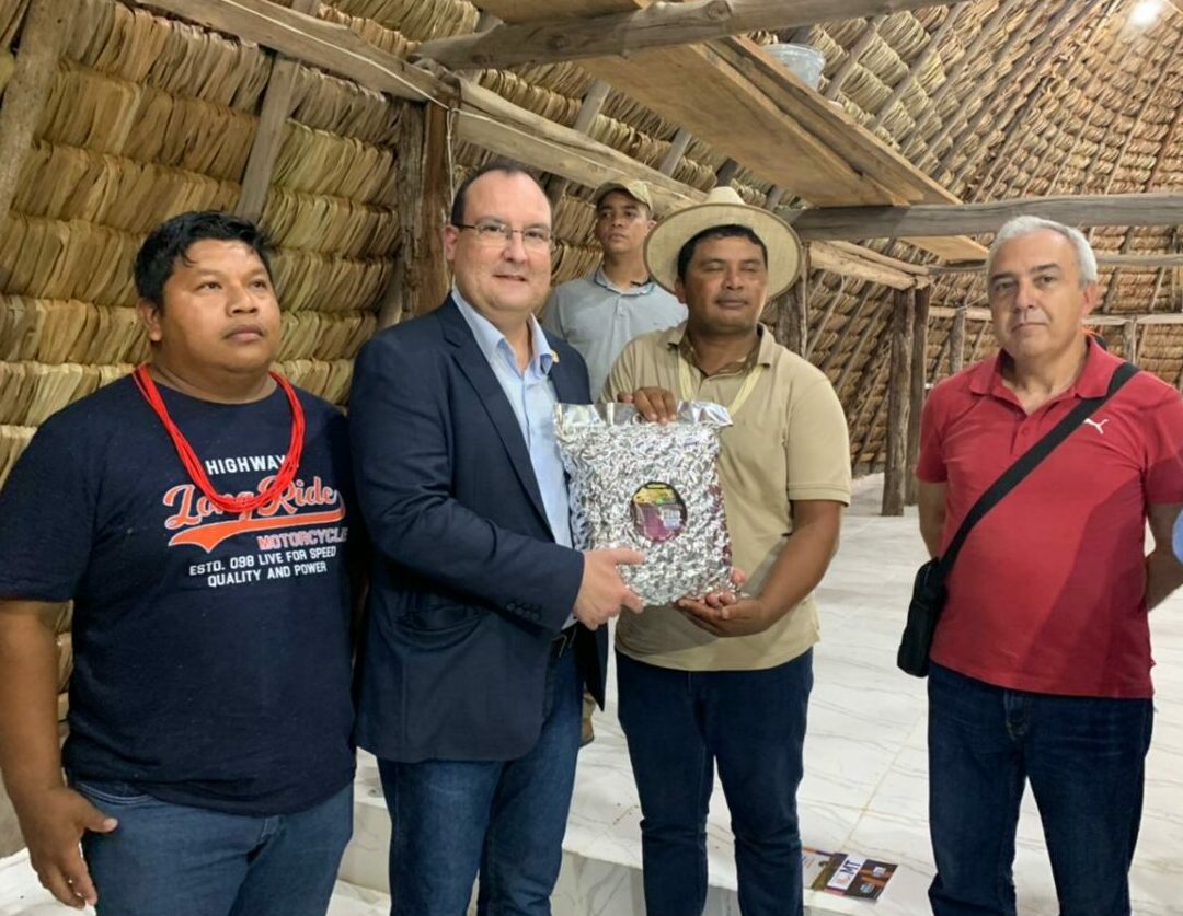Funai abandona indígenas nas mãos de desmatadores e grileiros
