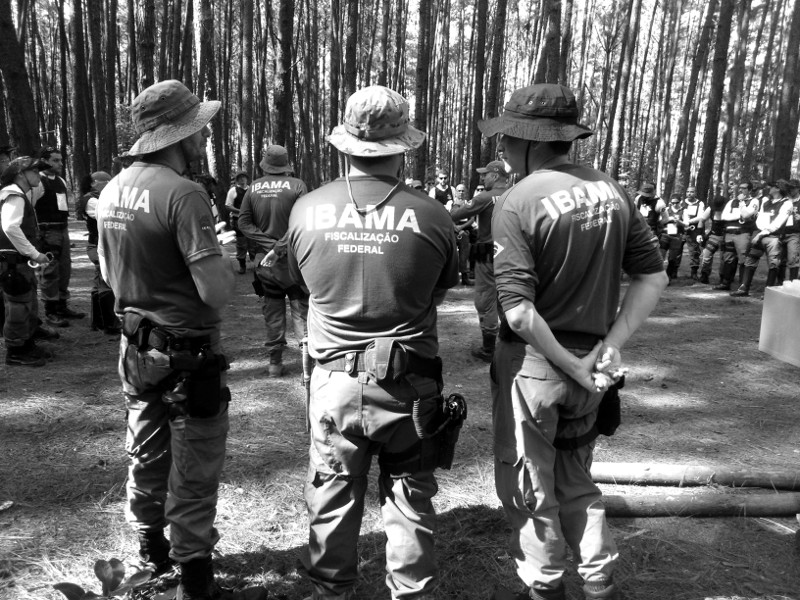 Fiscais ambientais na Amazônia são acuados e entregues à sorte
