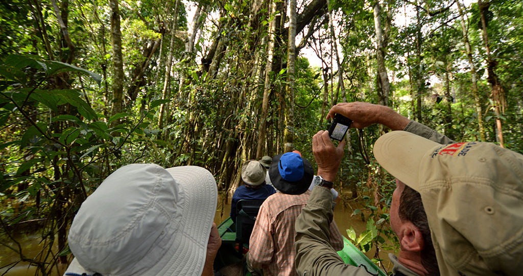 ato, terra, artistas, ongs, amazonia