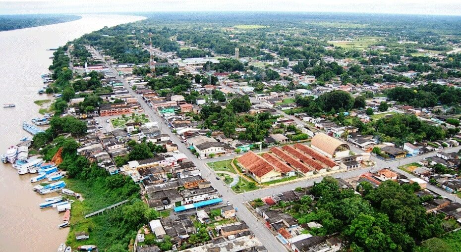 comunidades, br-319, extracao, ilegal, madeira