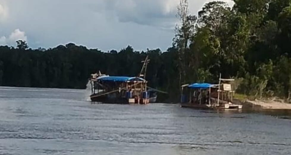 entidade, garimpo, indigenas, santa isabel