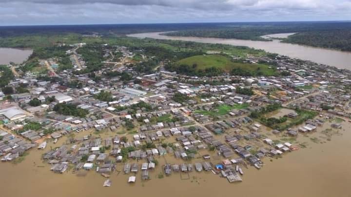 Risco de Amazônia se transformar em savana aumenta, diz entidade