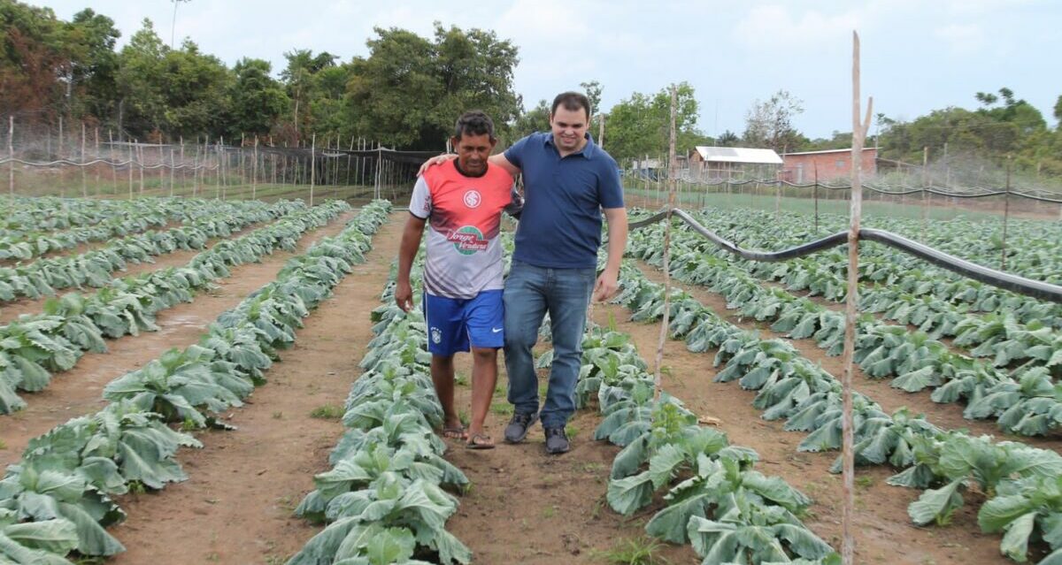 lei, cidade, selo, produtor, rural