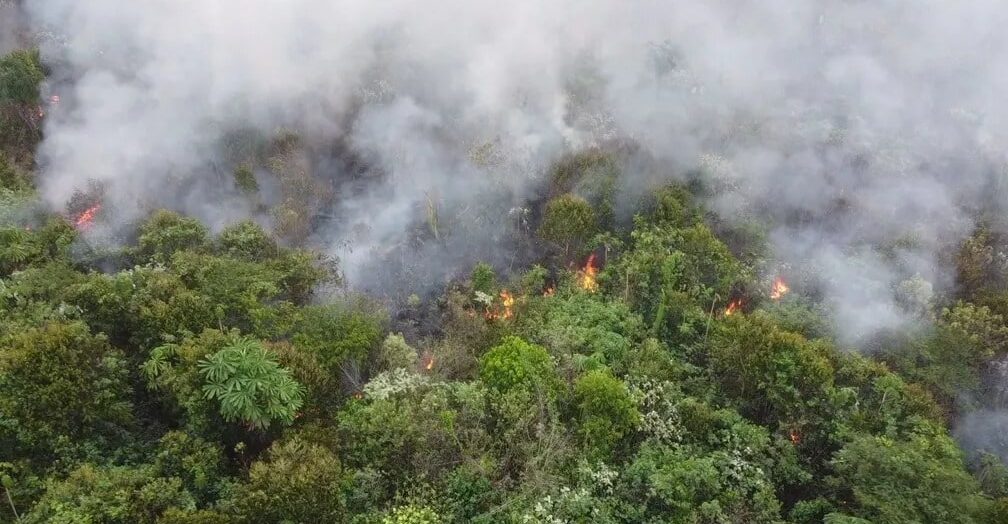 inpe, amazonas, queimadas, amazonia