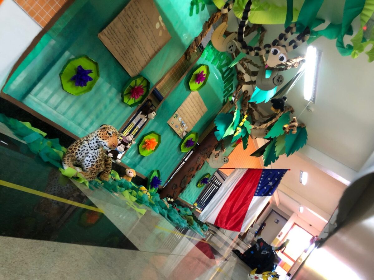 Só deu Amazonas na mostra cultural escolar no Distrito Federal