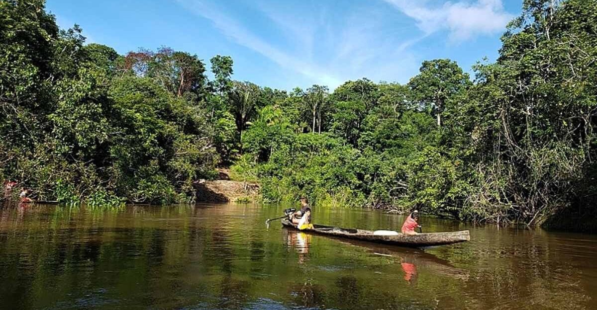 funai, viola, isolamento, indigena