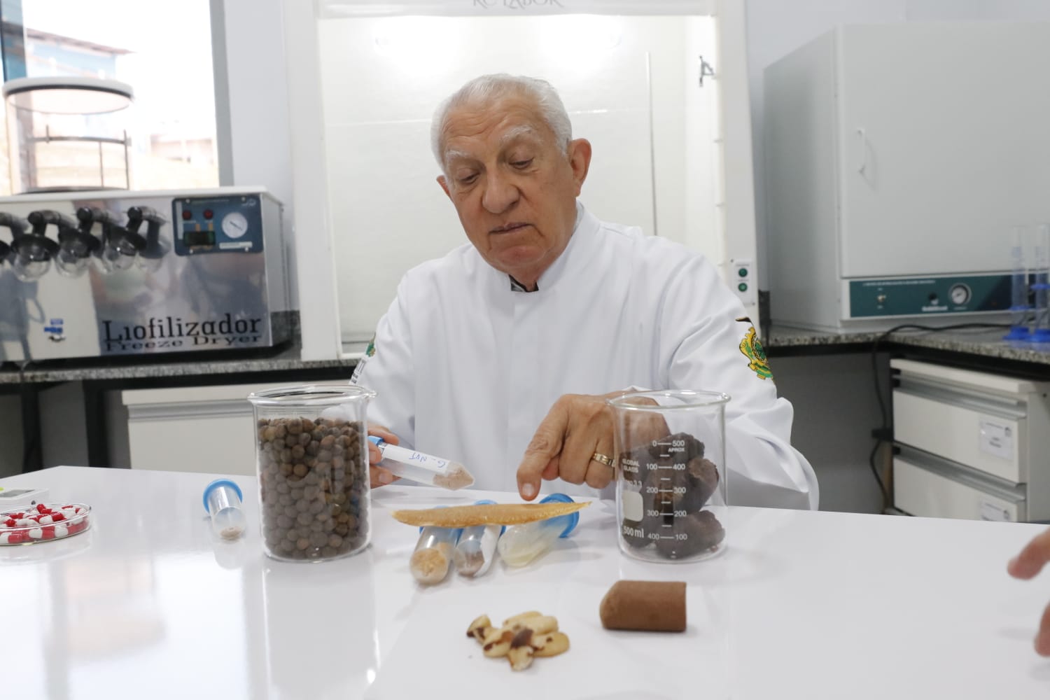 Estudo no Amazonas diz que óleo de castanha e açaí ajuda contra covid