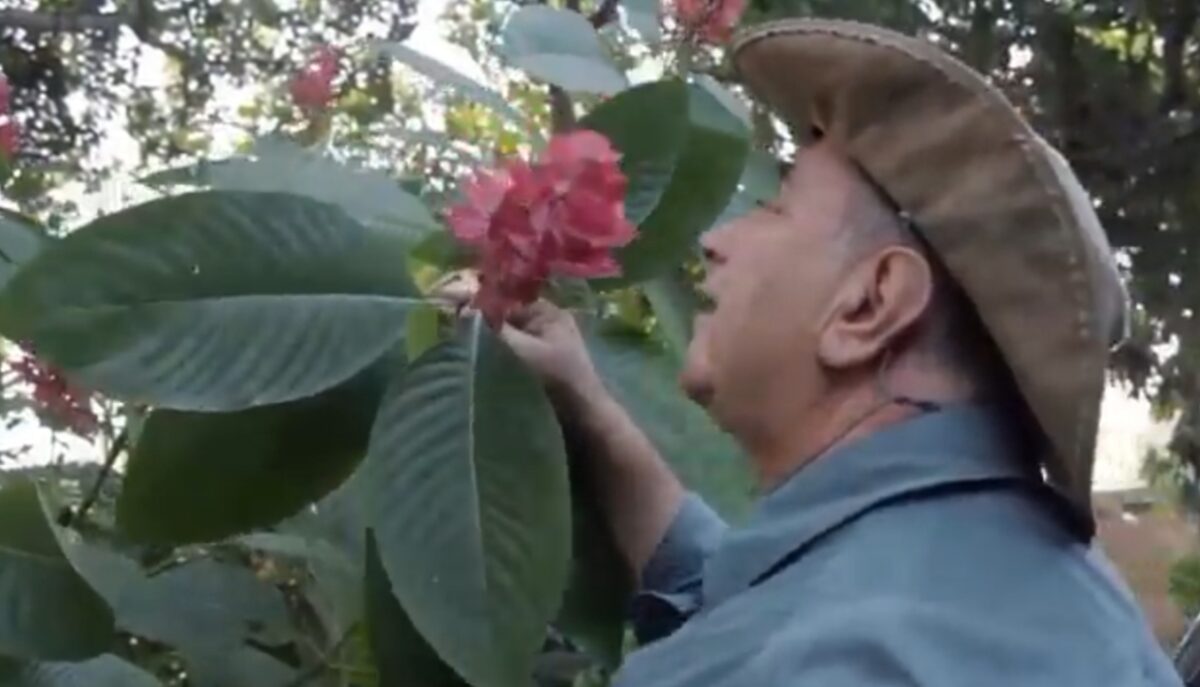 ALE-AM homenageia pesquisador da Amazônia a pedido de Serafim
