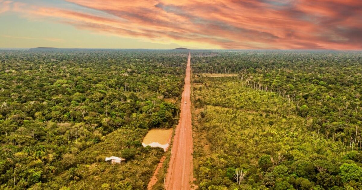 justica, mpf, br-319, amazonas