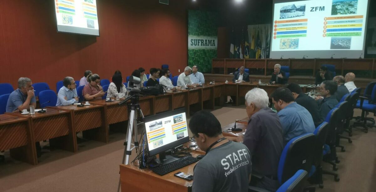 zfm, importancia, estrategia