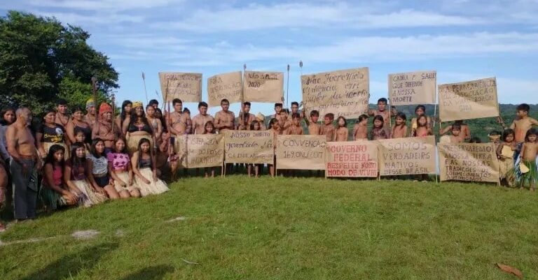 indigenas, para, joao, pedro, transicao