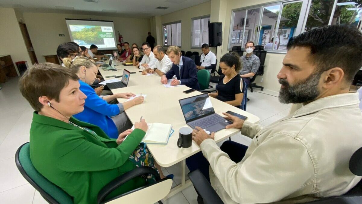 reino, unido, bid, amazonas