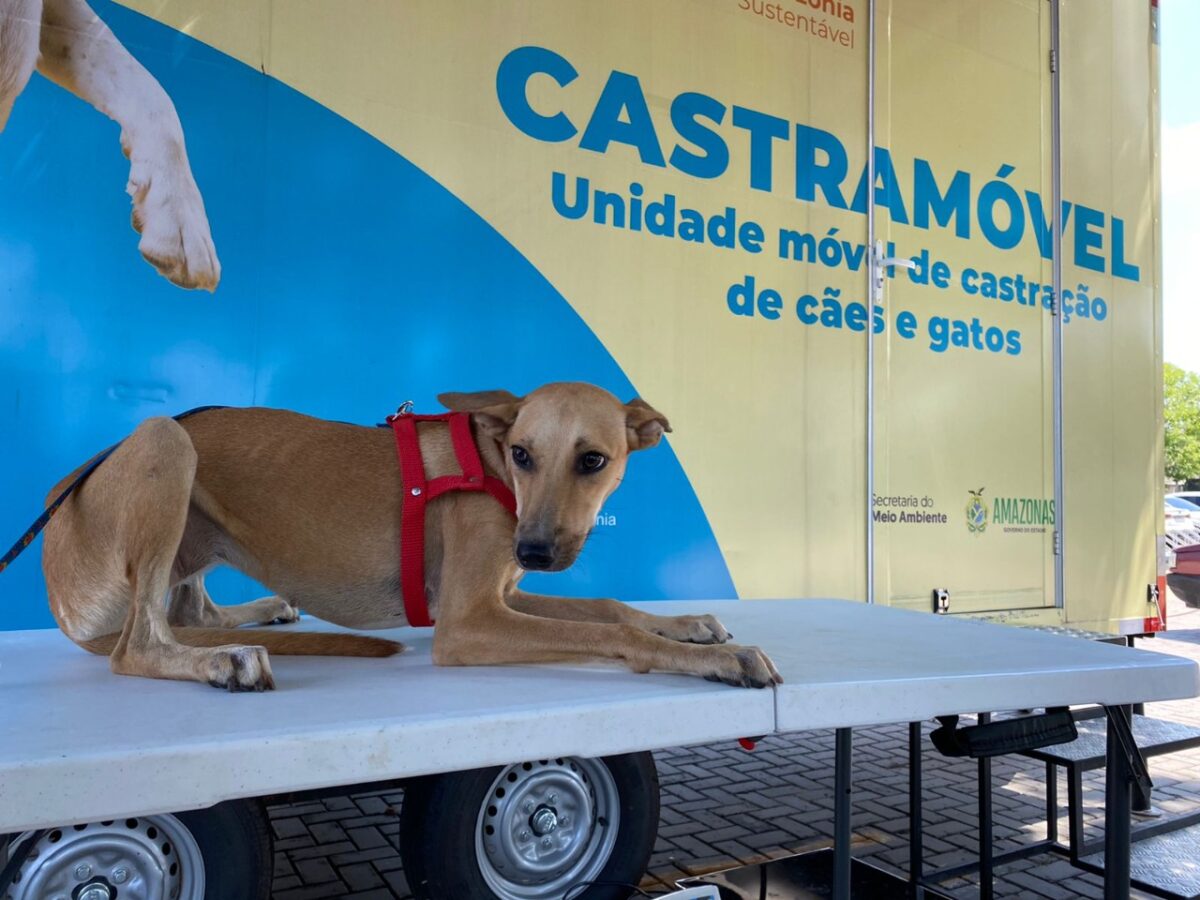 Castramóvel faz 10 mil operações em um ano de atividade no AM