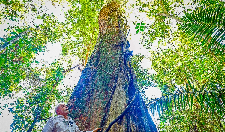 Na COP27, Lula deve ser um dos destaques na Cúpula do Clima
