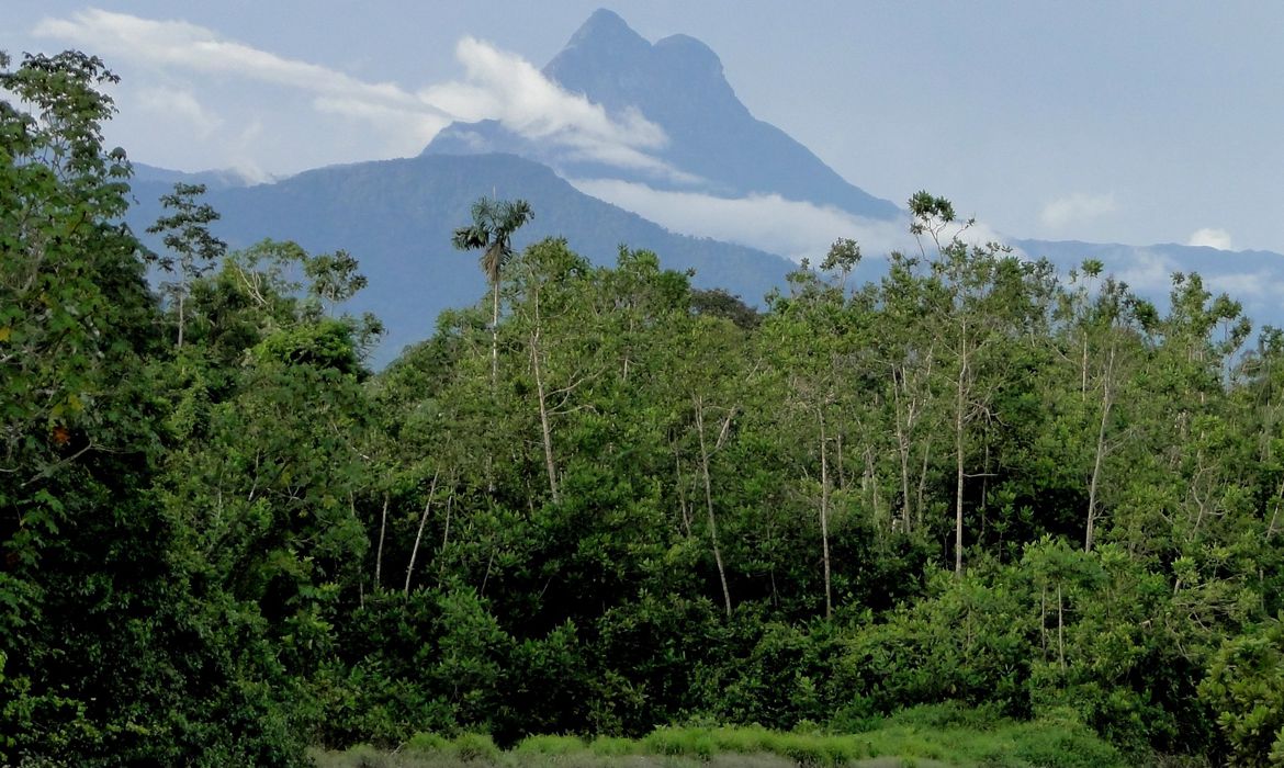 Garimpeiros agora invadem pico da Neblina, denunciam entidades ianomâmis