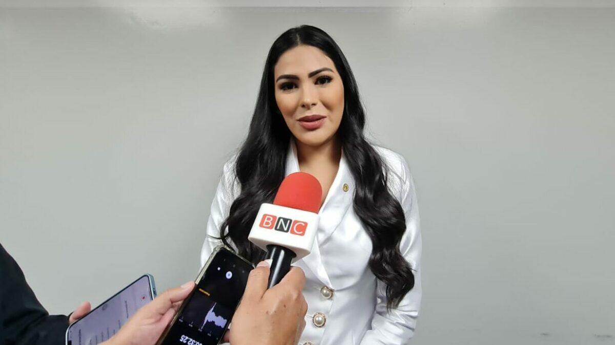 Mayra Dias assume presidência da Comissão de Assistência Social e Trabalho