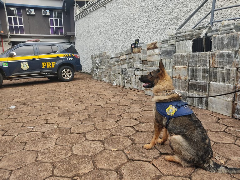 Polícia Rodoviária Federal faz apreensão histórica de cocaína