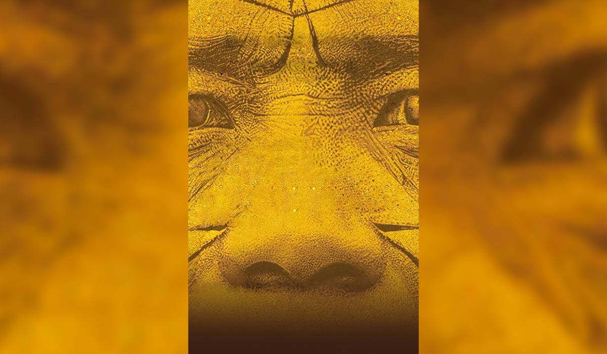 Arte Indígenas Manaus