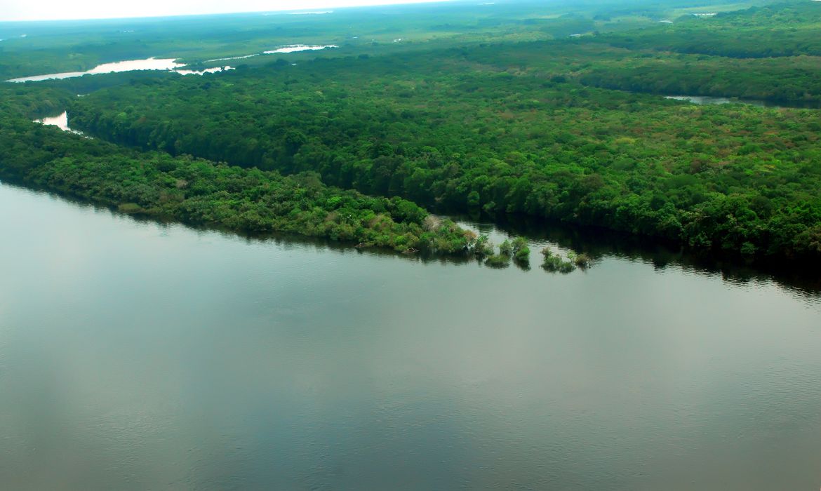 Mata Atlântica